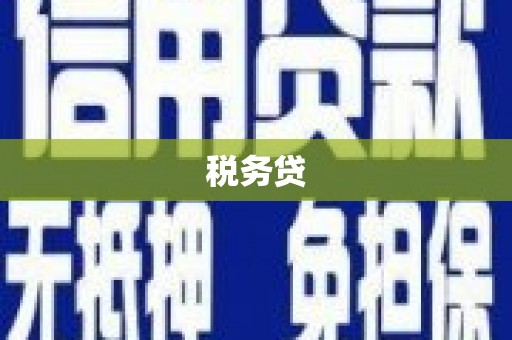 聊城税务贷