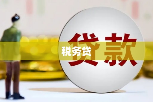 聊城税务贷