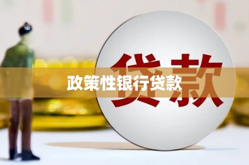 聊城政策性银行贷款