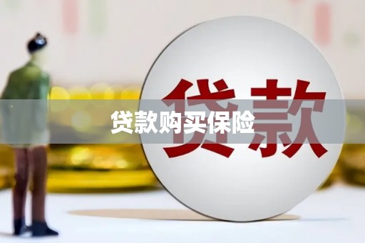 聊城贷款购买保险