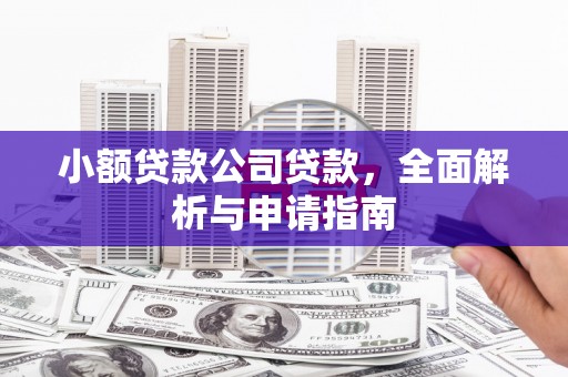 聊城小额贷款公司贷款，全面解析与申请指南