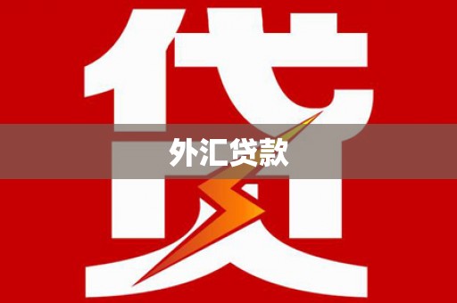 聊城外汇贷款