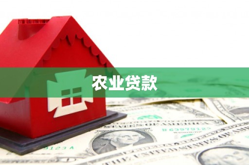 聊城农业贷款