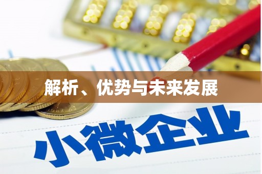 聊城解析、优势与未来发展