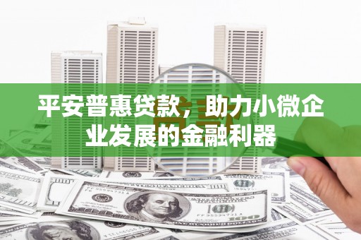 聊城平安普惠贷款，助力小微企业发展的金融利器