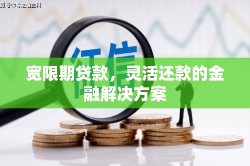 聊城宽限期贷款，灵活还款的金融解决方案