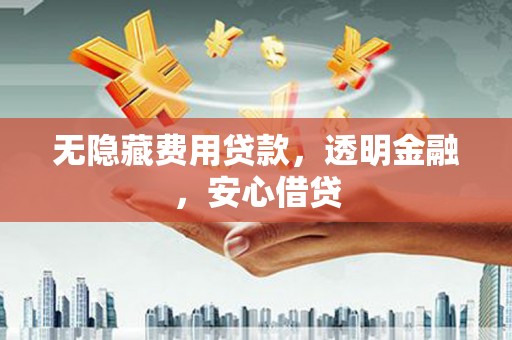 聊城无隐藏费用贷款，透明金融，安心借贷