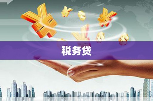 聊城税务贷