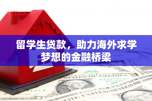 聊城留学生贷款，助力海外求学梦想的金融桥梁