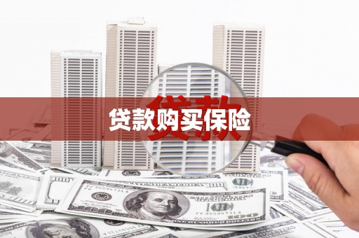 聊城贷款购买保险