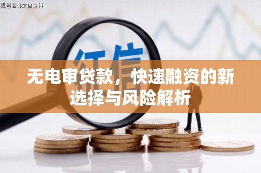 聊城无电审贷款，快速融资的新选择与风险解析