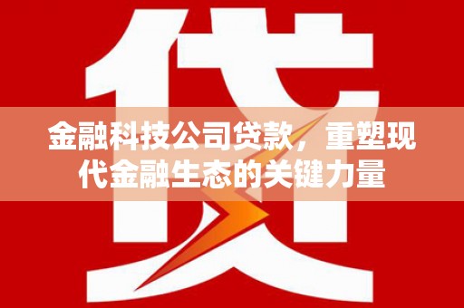 聊城金融科技公司贷款，重塑现代金融生态的关键力量