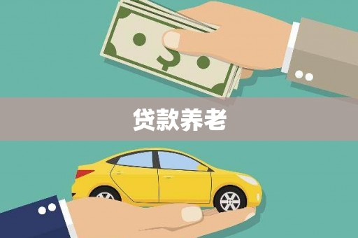 聊城贷款养老
