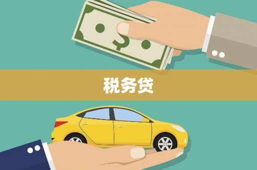 聊城税务贷