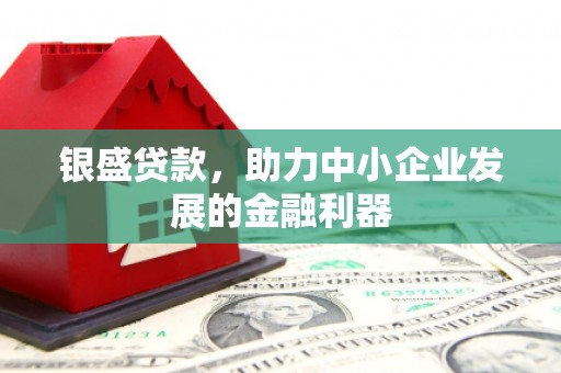 聊城银盛贷款，助力中小企业发展的金融利器