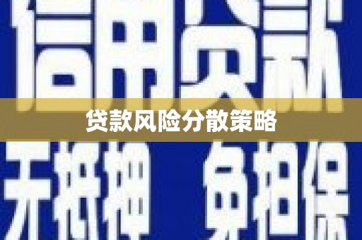 聊城贷款风险分散策略