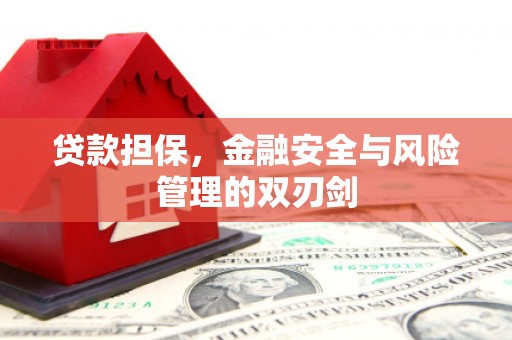 聊城贷款担保，金融安全与风险管理的双刃剑