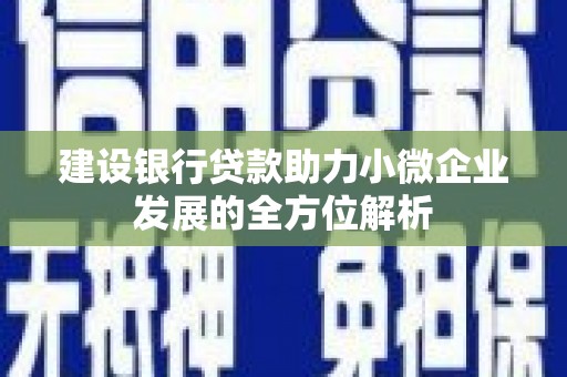 聊城建设银行贷款助力小微企业发展的全方位解析