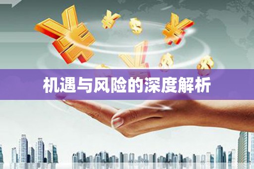 聊城机遇与风险的深度解析