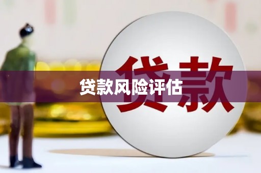 聊城贷款风险评估