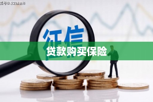 聊城贷款购买保险