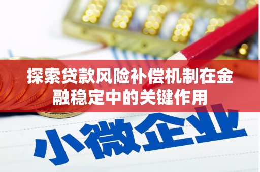 聊城探索贷款风险补偿机制在金融稳定中的关键作用