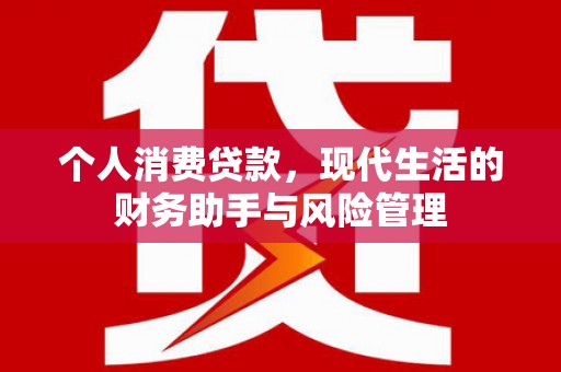 聊城个人消费贷款，现代生活的财务助手与风险管理