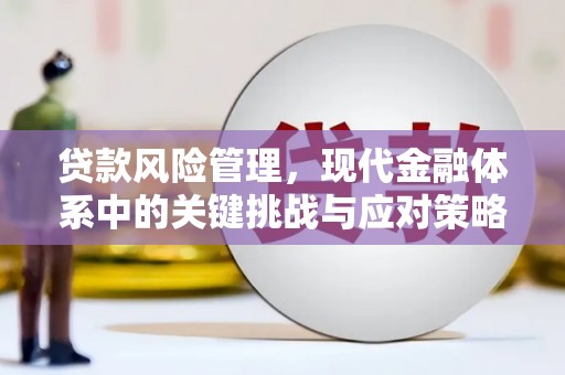 聊城贷款风险管理，现代金融体系中的关键挑战与应对策略