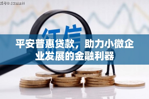 聊城平安普惠贷款，助力小微企业发展的金融利器