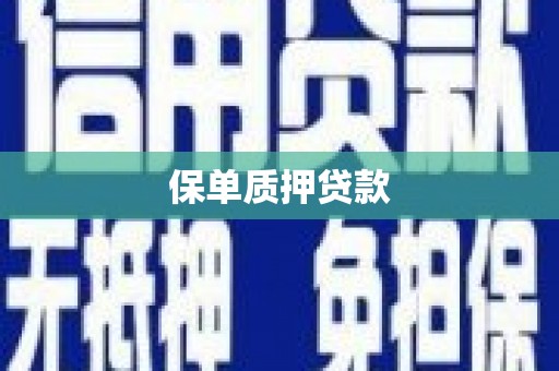 聊城保单质押贷款