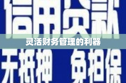 聊城灵活财务管理的利器