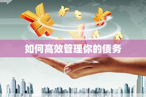 聊城如何高效管理你的债务