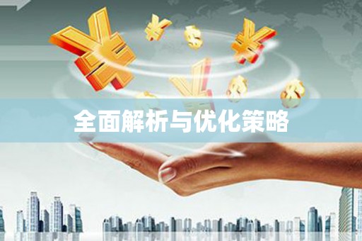聊城全面解析与优化策略