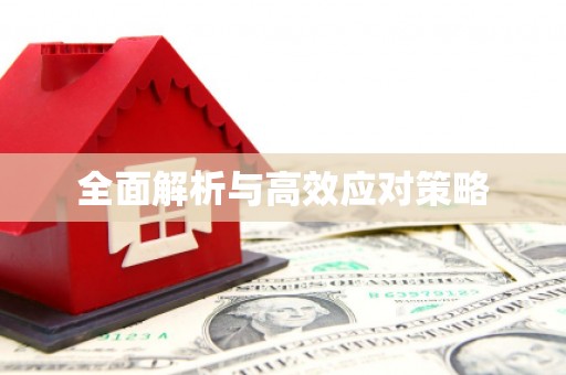 聊城全面解析与高效应对策略