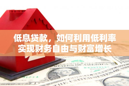 聊城低息贷款，如何利用低利率实现财务自由与财富增长