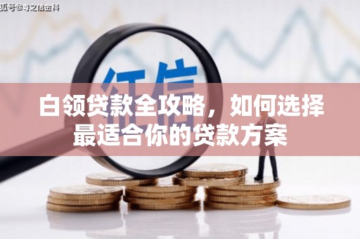 聊城白领贷款全攻略，如何选择最适合你的贷款方案